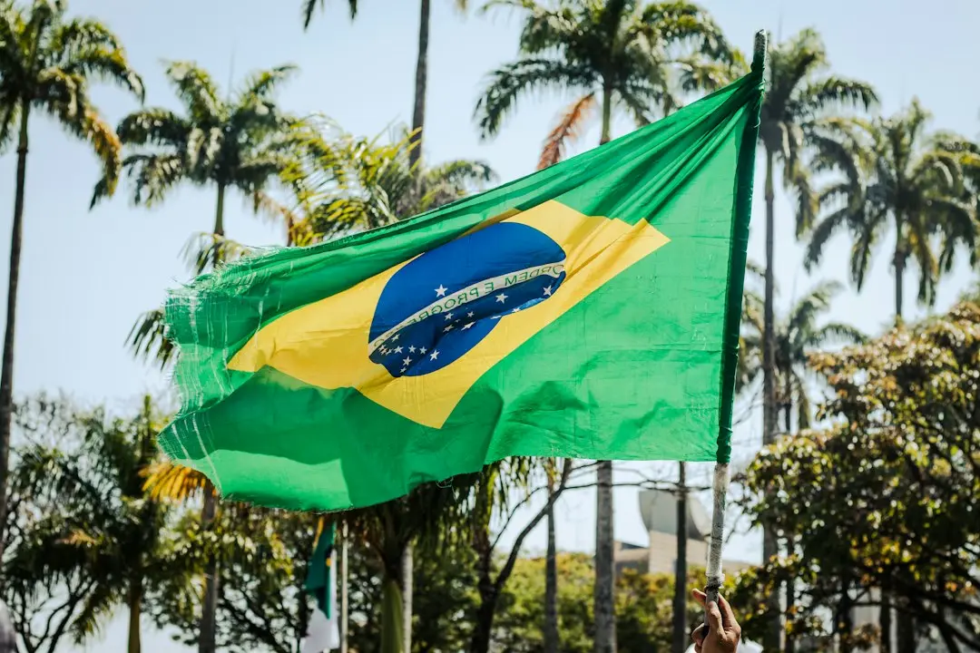 Brazilia cheamă ambasadoarea Argentinei după fuga lui Flavio Bolsonaro